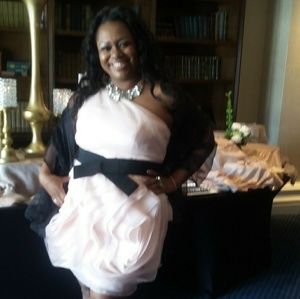 Formal Pale Pink Vera Wang Dress Sz 18